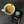 Premium Nissi Coffee